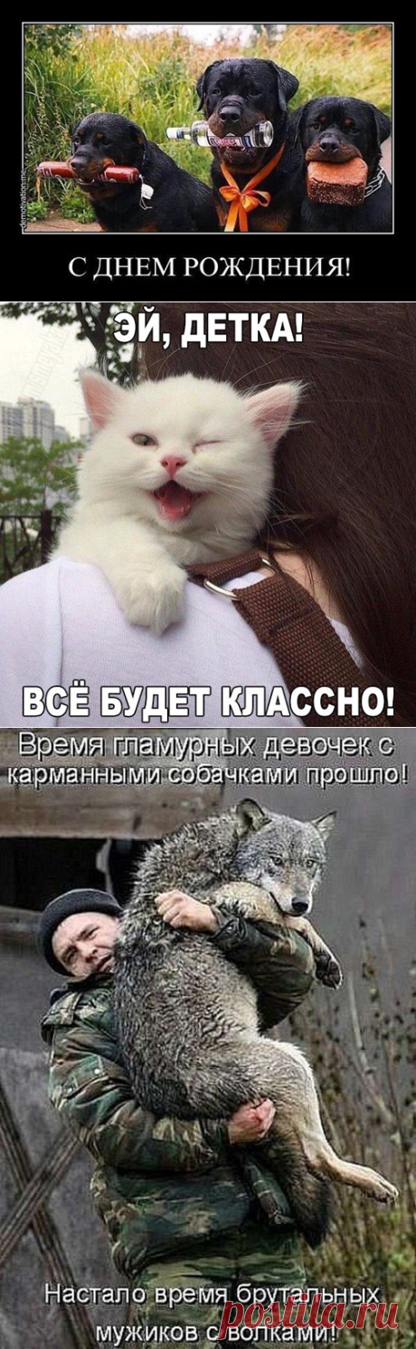 С кем поведешься - новая публикация на странице юмора в блоге от мастера юмористической фразы Александра Крутоуса.