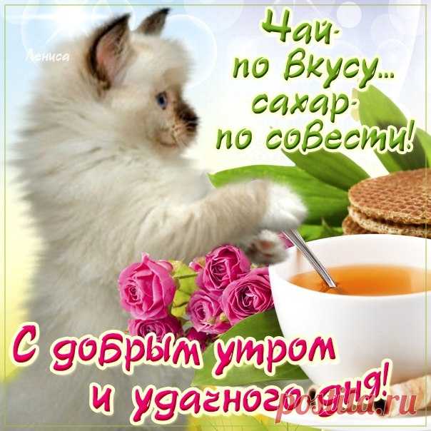 Позитивные открытки с добрым Утром  Музыкальные мерцающие картинки с добрым Утром бесплатно