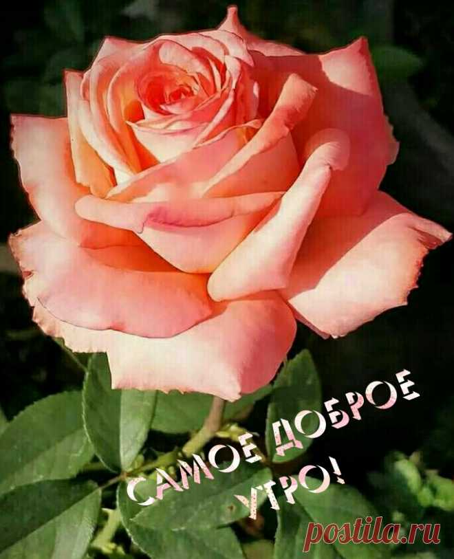 Самое доброе утро!