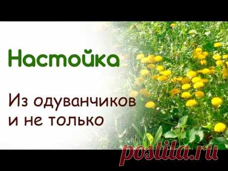 Целебная настойка от остеохондроза,миозита, невралгий, болей в суставах и спине