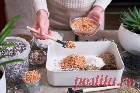 Что добавить в грунт для здоровья комнатных растений — 10 лучших вариантов — Ботаничка