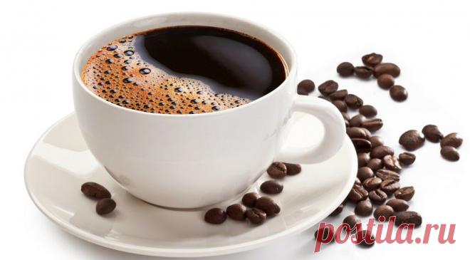 Запретный плод: продукты и мысли, которые покажут промилле