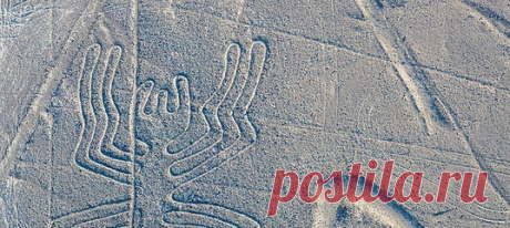 30 громадных изображений животных и растений, а ещё примерно 13 000 линий и около 700 геометрических фигур, которые можно разглядеть только с воздуха – кто и зачем начертил их? Ученые, которые годами исследовали геоглифы плато Наска, теперь уверены, что знают правильный ответ.
