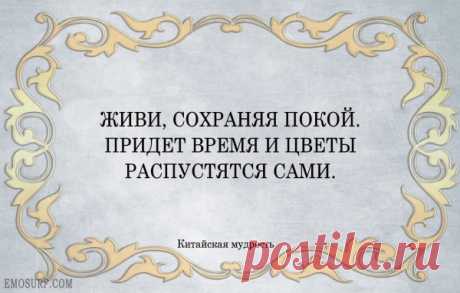 Высказывания китайских мудрецов