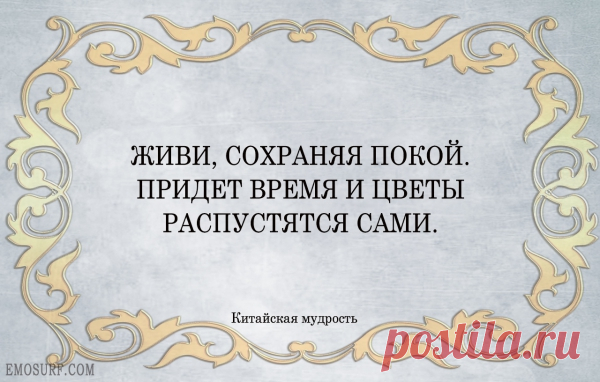Высказывания китайских мудрецов