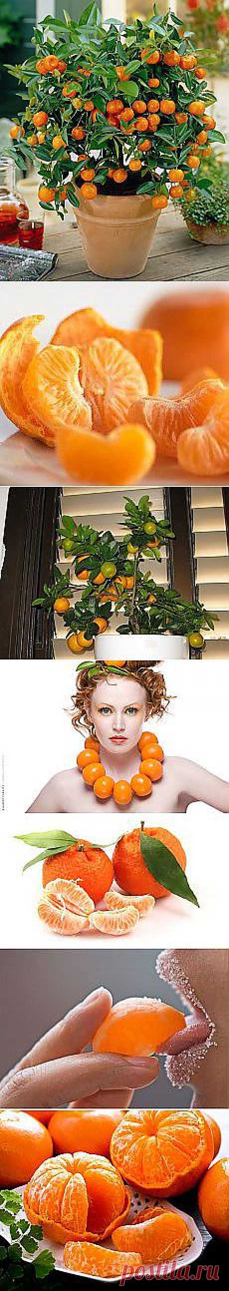 Мандарины