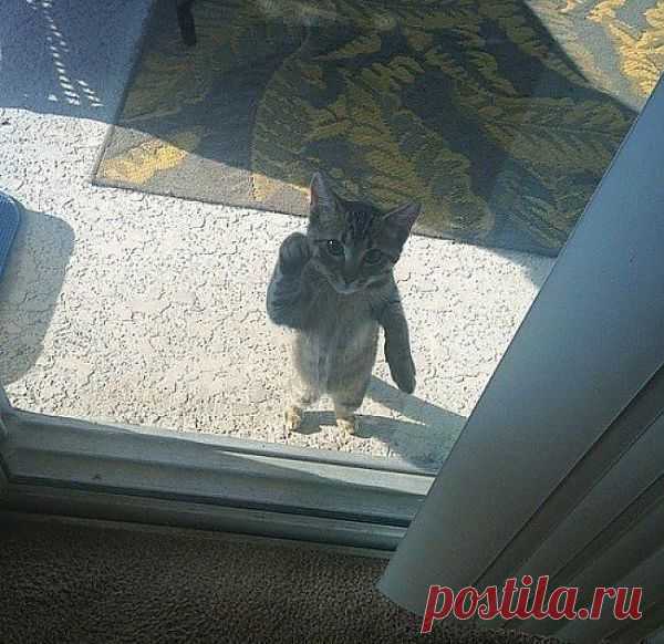 Тут-тук-тук!!!