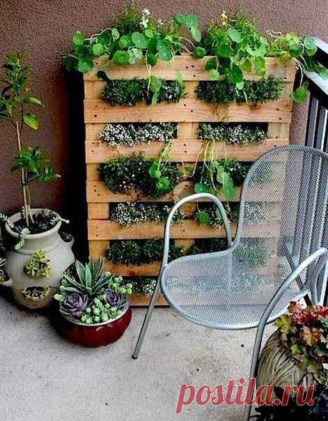 Как можно использовать поддоны в саду — DIYIdeas