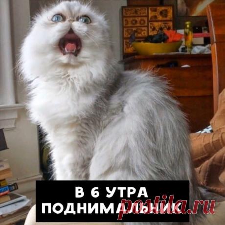 Уникальные функции