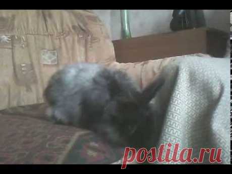 VID 20130929 140206 - YouTube