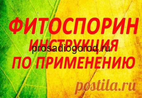 Фитоспорин для рассады помидор: инструкция по применению, видео и фото