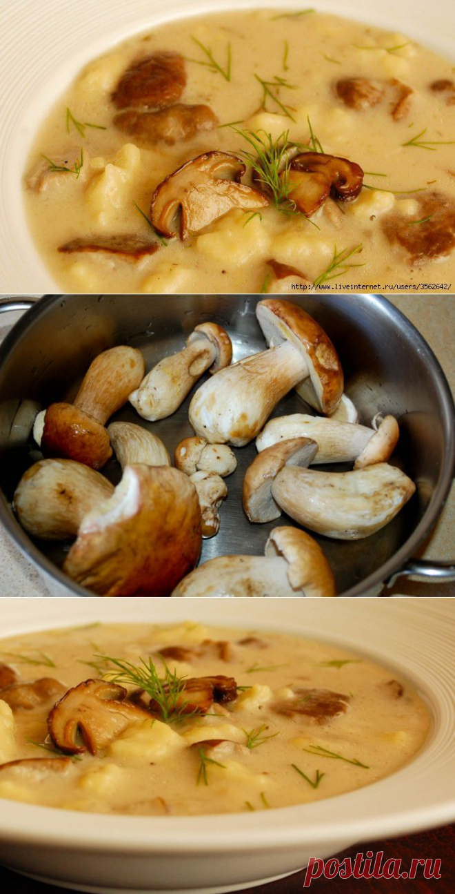 СУП ГРИБНОЙ, СМЕТАНОЙ ЗАПРАВЛЕННЫЙ, С КЛЁЦКАМИ.