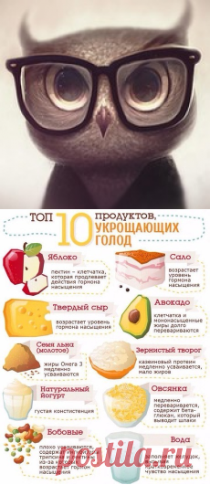 Невероятно, но факт! - Группы Мой Мир