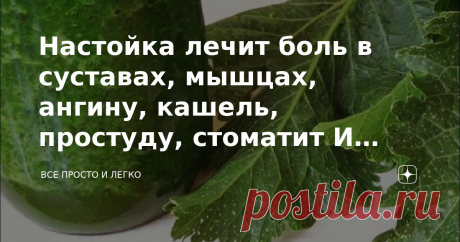Настойка лечит боль в суставах, мышцах, ангину, кашель, простуду, стоматит И даже отбеливает кожу