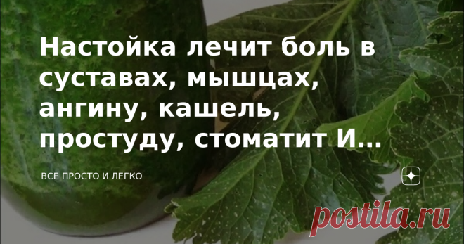 Настойка лечит боль в суставах, мышцах, ангину, кашель, простуду, стоматит И даже отбеливает кожу