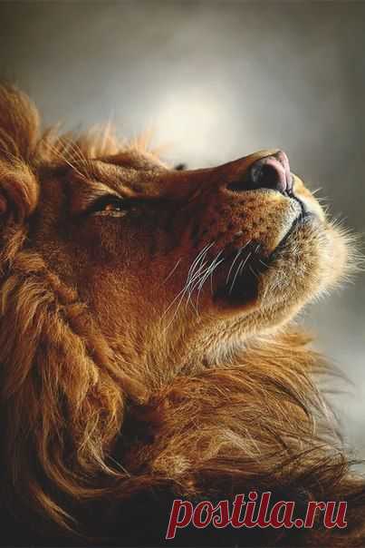 Наберись смелости, если хочешь что-то иение. / Основы бизнеса