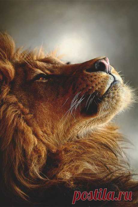 Наберись смелости, если хочешь что-то иение. / Основы бизнеса