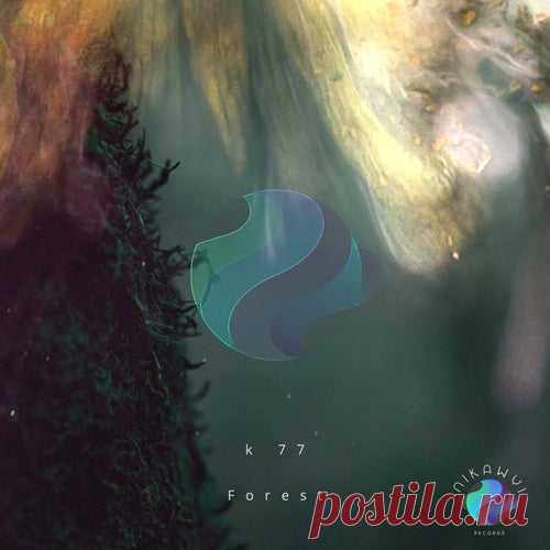 K 77 - Forest