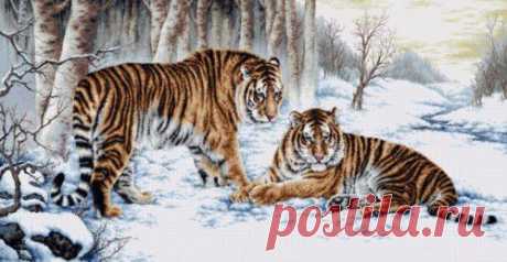 Вышивка &quot;Bengal tiger&quot; | Скачать схему бесплатно на сайте Stitchart.net