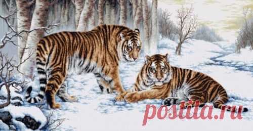Вышивка "Bengal tiger" | Скачать схему бесплатно на сайте Stitchart.net