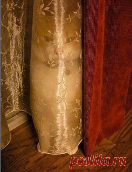 Гений шпионажа!!!