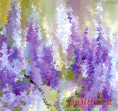 San Chad * Черных А.Д.