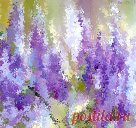 San Chad * Черных А.Д.