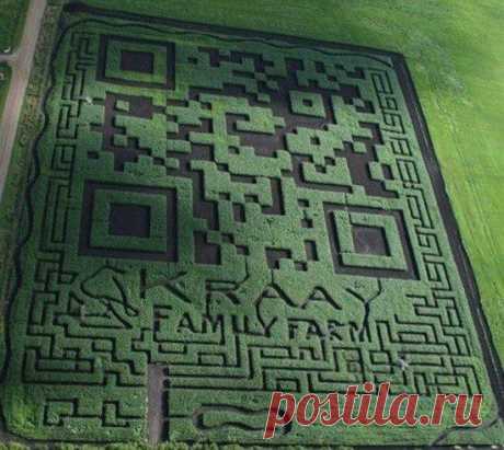 Этот огромный QR-код на 3 гектара создан отнюдь не инопланетянами. Он действующий и ведет на реальный сайт. Лихо народ пиарится, с размахом! )