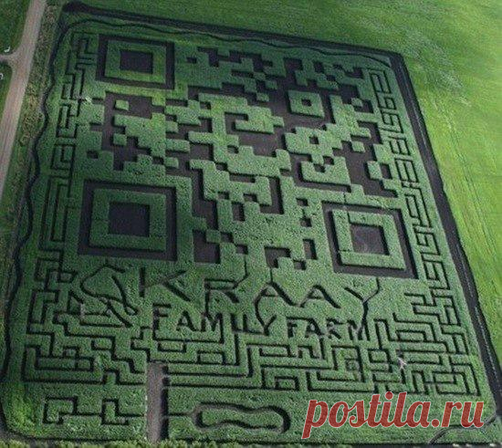 Этот огромный QR-код на 3 гектара создан отнюдь не инопланетянами. Он действующий и ведет на реальный сайт. Лихо народ пиарится, с размахом! )