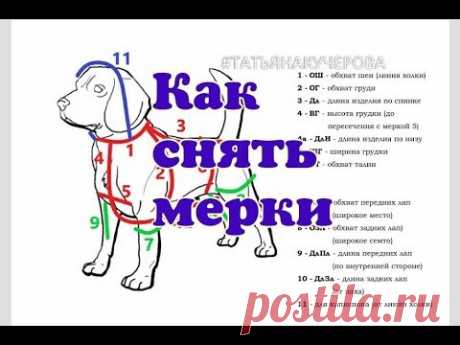 Как снять мерки