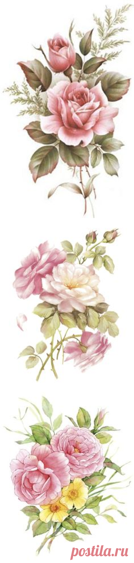 цветы в Pinterest