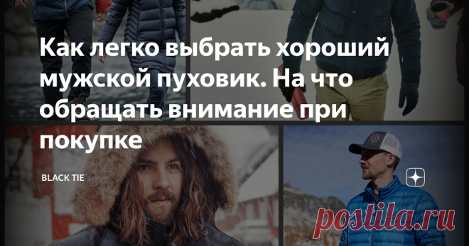 Как легко выбрать хороший мужской пуховик. На что обращать внимание при покупке Зимы у нас по-прежнему неприветливые и суровые, несмотря на Грету Тунберг и глобальное потепление. Так что пуховики-куртки наше все (можно еще телогрейки и ватники, но там фасон один, поэтому их мы обсуждать не будем).
Итак, первое, на
