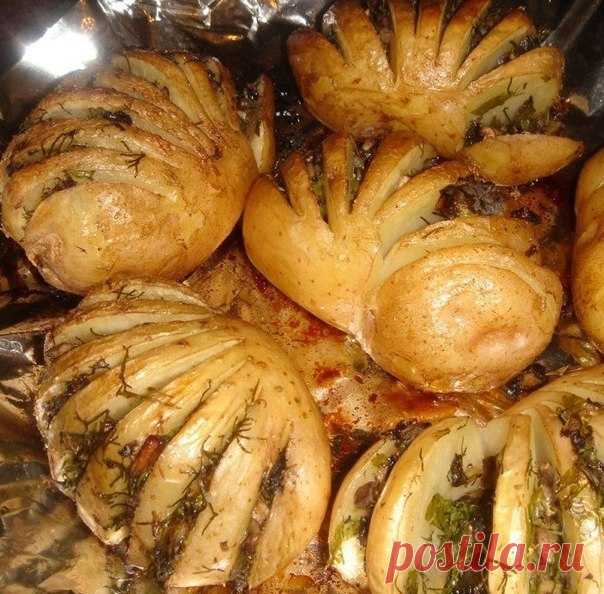 Картошка-гармошка  Очень вкусная фаршированная запеченная картошка. Отличный гарнир к любому блюду!Грибы мелко порезать, добавить рубленную зелень, слегка присолить и поперчить.Если картофель молодой, хорошо промыть и …