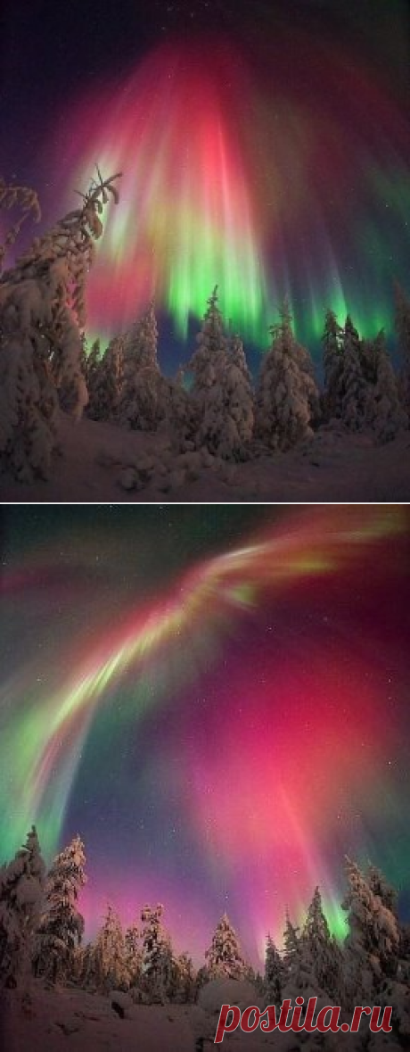 (3) Одноклассники