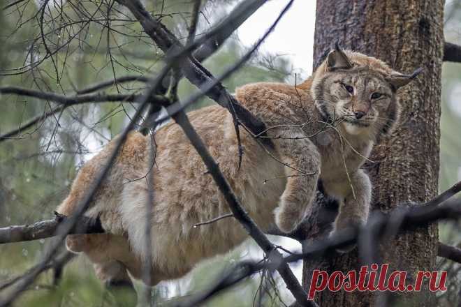 Когда основательно посидел дома на карантине