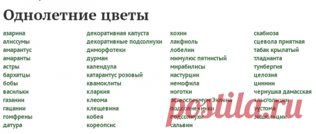 Однолетние цветы - сорта, посадка, выращивание, уход и размножение