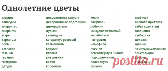 Однолетние цветы - сорта, посадка, выращивание, уход и размножение