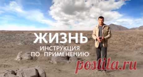 Pinterest • Всемирный каталог идей                                                                                                       https://youtu.be/PrIQvHuwAlA