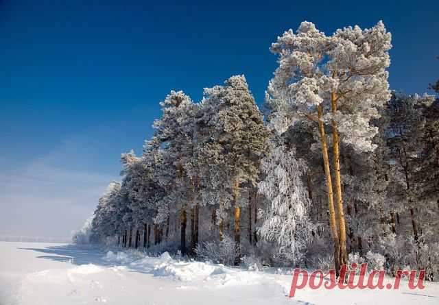 getImage (640×445)