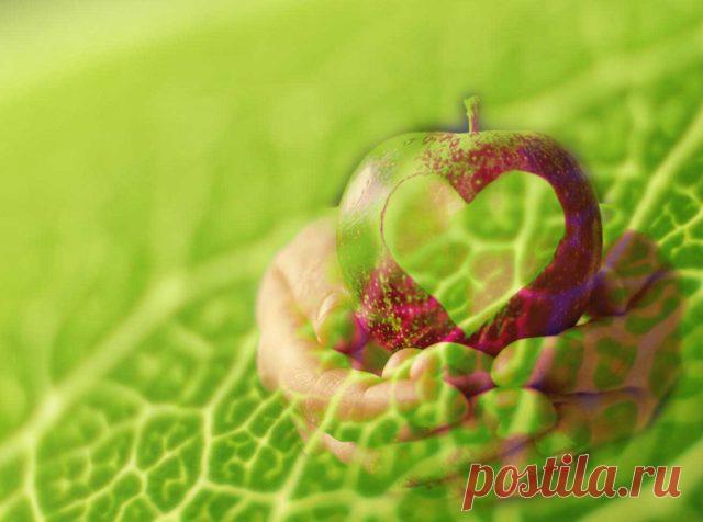 6 продуктов тромборастворителей для сердечного благополучия | Здравие - блог Захара Журавлева