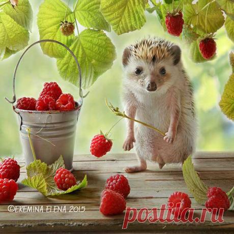 AdMe.ru