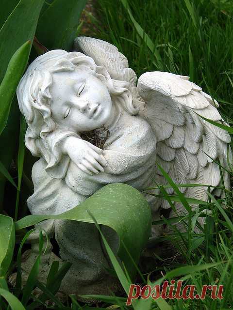 (2) Sleeping Angel | angels | Ангел, Маленькие Сады и Садовые Ангелы