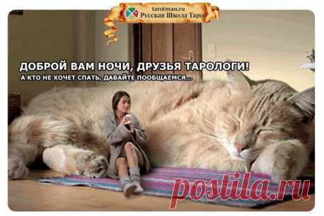 #добрых_снов #таро 

#гаданиетаро #обучениетаро #русскаяшколатаро