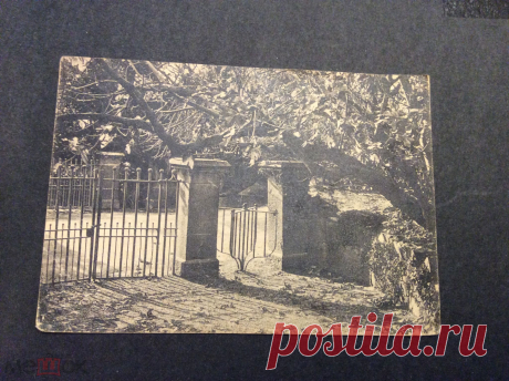 СССР 1927 открытка Крым Алупка парк чистая cas1