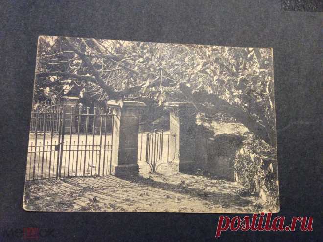 СССР 1927 открытка Крым Алупка парк чистая cas1