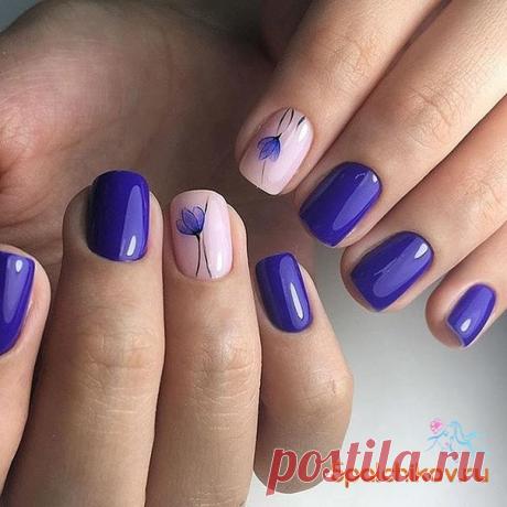 Мои закладки