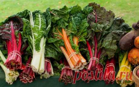 Топ – 7 продуктов, сжигающих жир