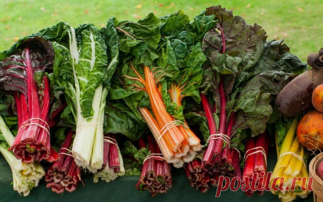 Топ – 7 продуктов, сжигающих жир