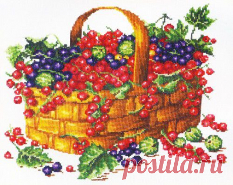 Смородина - StitchArt.net - Искусство вышивания крестиком