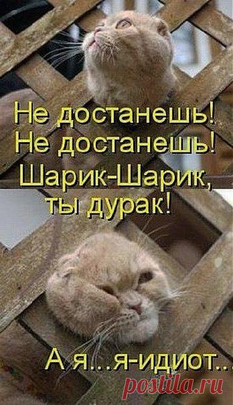 Но поздно понял!!!